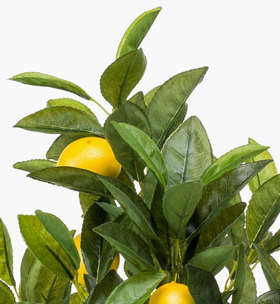 Nahaufnahme einer künstlichen Hängepflanze mit herzförmigen Blättern und silbrig grün gemusterter Oberfläche.