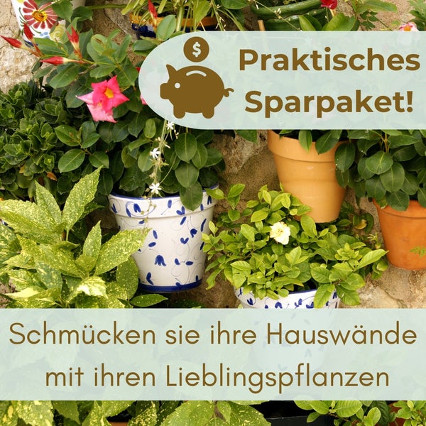 Verschiedene Topfpflanzen vor einer Steinwand mit dem Hinweis: Praktisches Sparpaket! Schmücken Sie Ihre Hauswände mit Ihren Lieblingspflanzen.