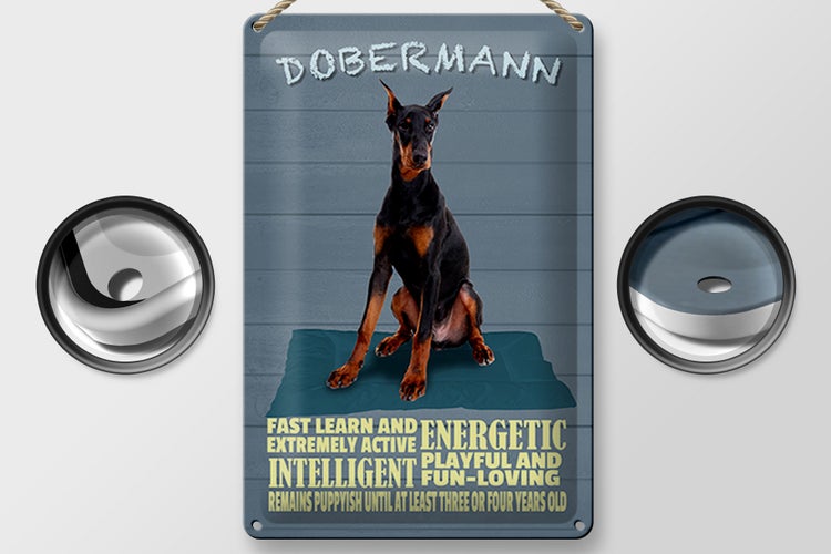 Blechschild Spruch 20x30cm Dobermann Hund fast learn and