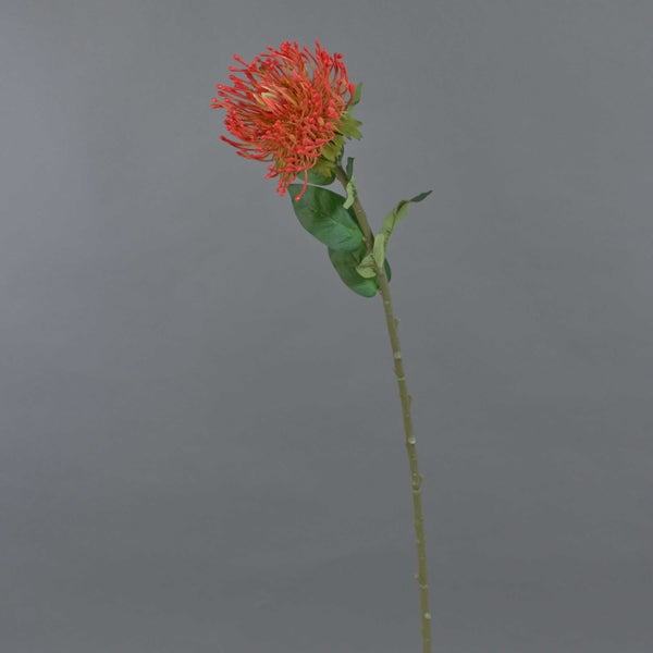 Künstliche Nadelkissen-Protea mit langem grünem Stiel, grünen Blättern und einer orangefarbenen Blüte.