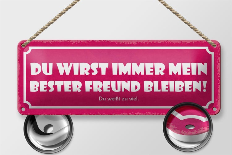 Blechschild Spruch 27x10cm du immer mein bester Freund Dekoration