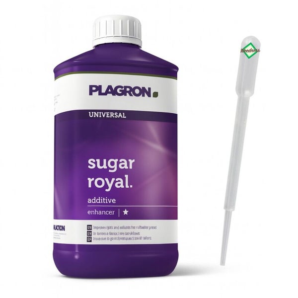 Plagron Sugar Royal Zusatzstoff in einer Flasche mit Pipette