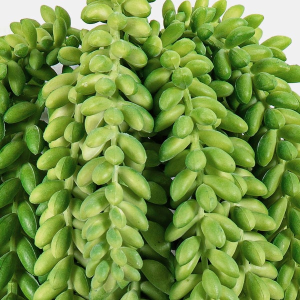 Künstlicher Pflanzenzweig mit gezackten grünen Blättern.