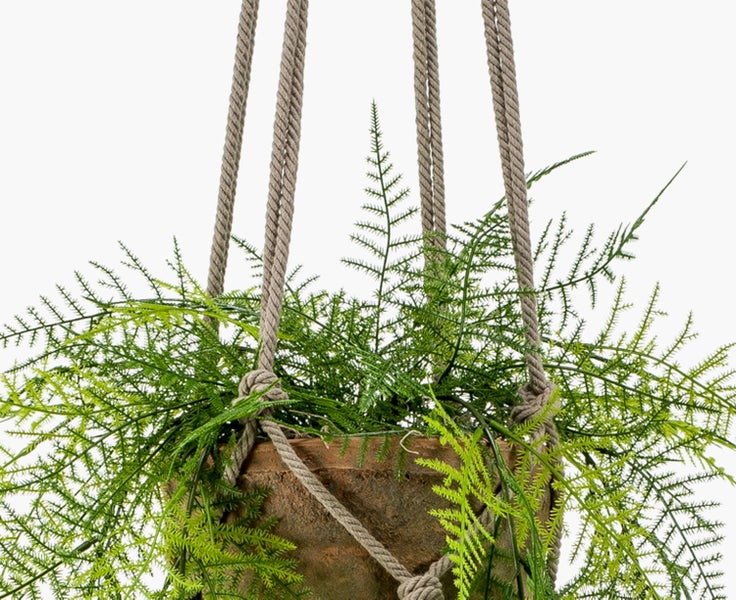 Künstliche Hängepflanze im Topf mit Seilaufhängung