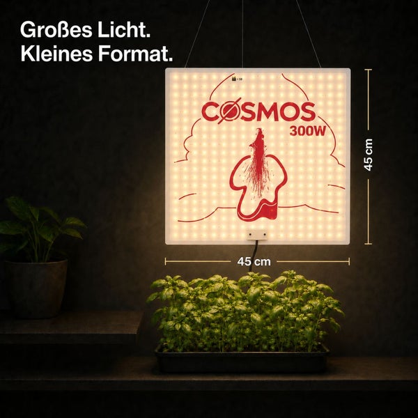 Cosmos 300 Watt LED Pflanzenlampe, quadratisches Panel, 45 Zentimeter mal 45 Zentimeter, über Basilikum auf einem Regal hängend.
