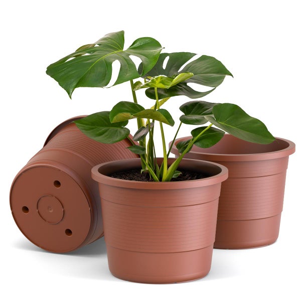 Drei Pflanzgefäße aus Kunststoff, eines mit Pflanze