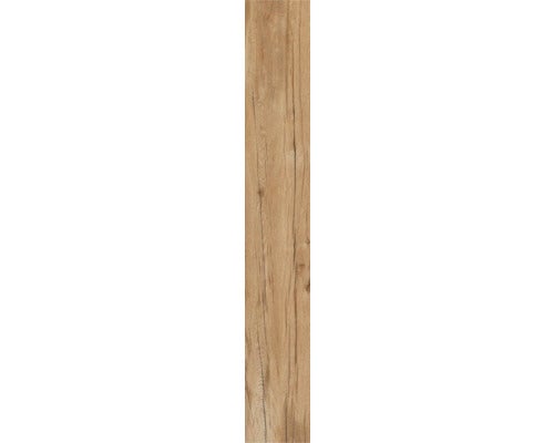 Wand- und Bodenfliese Aretino nut 23,4x148cm rektifiziert