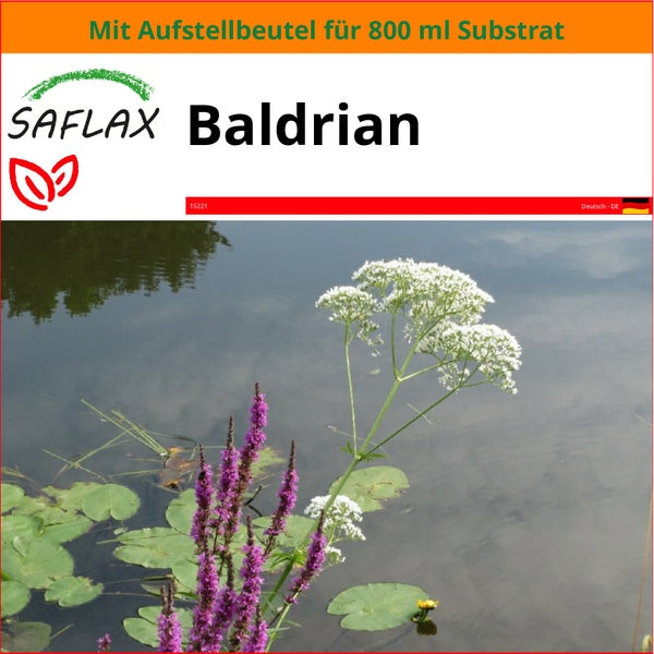 SAFLAX Garden in the bag - Baldrian - Valeriana officinalis - 200 Samen - Mit Anzuchtsubstrat im praktischen, selbst aufstellenden Beutel