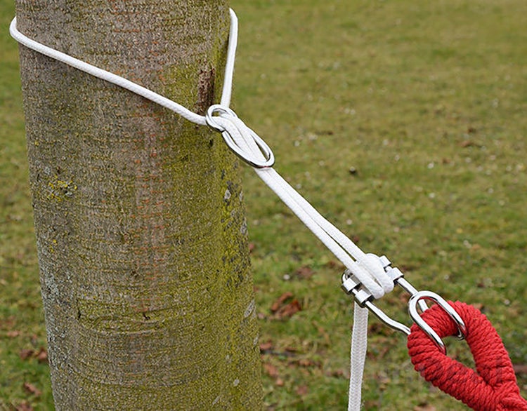 Befestigungsset für Hängematte mit Seil und Metallkarabiner zur Montage an einem Baum.