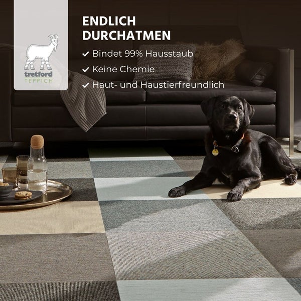 Tretford Teppichfliesen im Wohnzimmer mit Hund. Bindet 99 Prozent Hausstaub, chemiefrei, haut- und haustierfreundlich. tretford TEPPICH Logo.