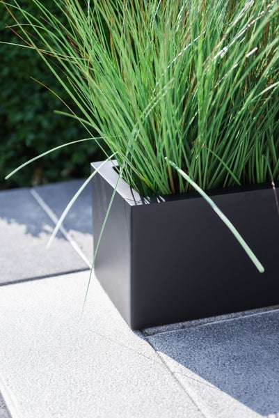 Quadratischer schwarzer Pflanzkasten mit grünem Ziergras auf einer Terrasse.