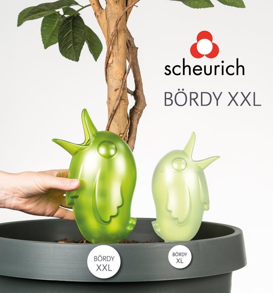 Scheurich Bördy XXL, Wasserspeicher aus Kunststoff,  Farbe: Champagne Pearl (nicht transparent), 13,7 cm Breite, 11 cm Tiefe, 33 cm hoch, 1 l Vol.