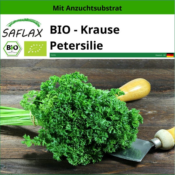 SAFLAX  - BIO - Krause Petersilie - Petroselinum crispum - 800 Samen - Mit keimfreiem Anzuchtsubstrat