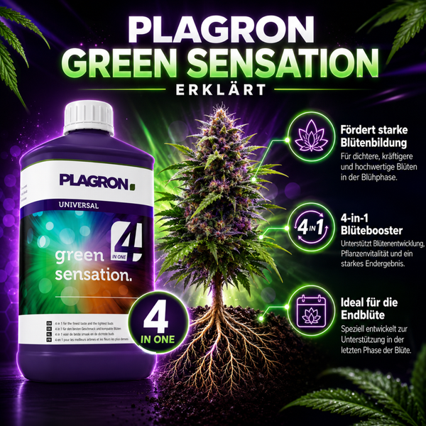 Plagron Green Sensation Pflanzendünger Flasche mit 4 in 1 Blütenbooster Informationen zur Anwendung in der Blütephase.