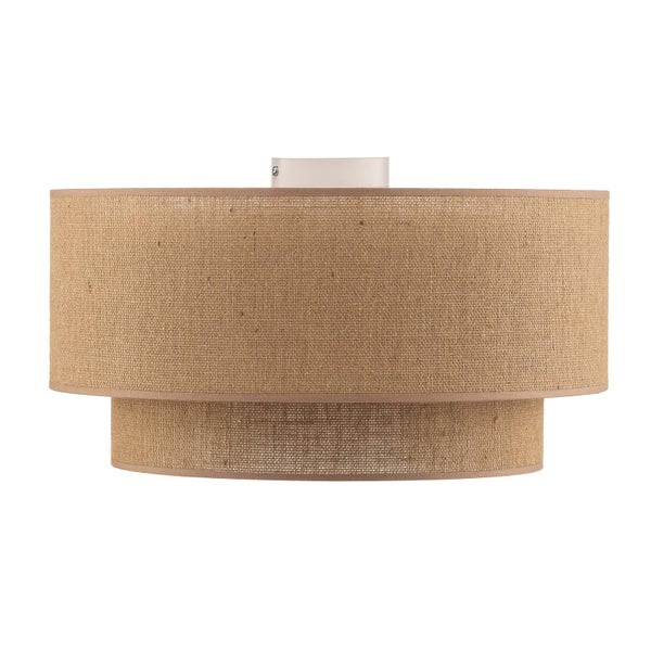 Nahaufnahme von Hauswurz-Pflanzen im Garten