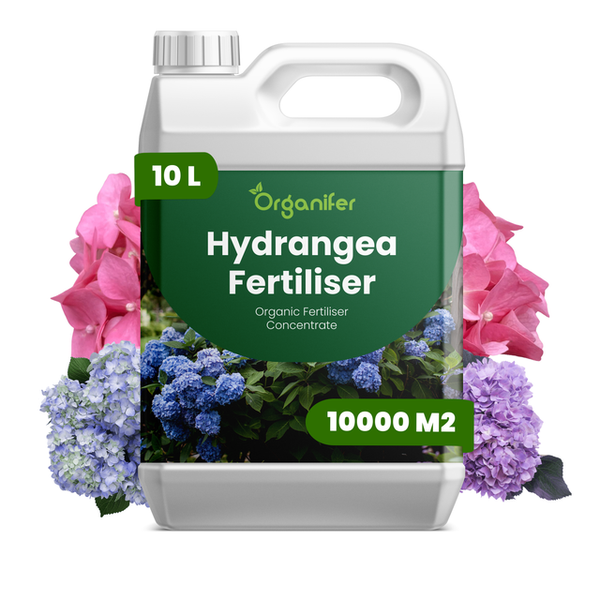 Organifer Hortensiendünger, organisches Konzentrat im 10 Liter Kanister für 10000 Quadratmeter, Organifer Logo.
