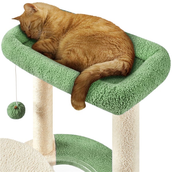 Katze schläft auf einem Katzenkratzbaum mit Liegefläche