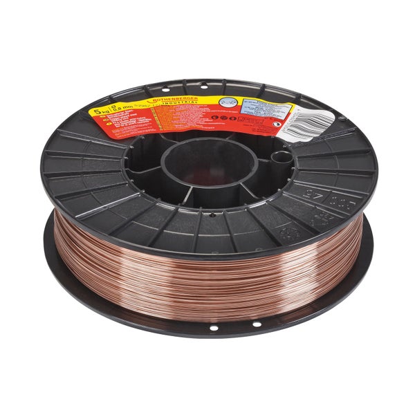 Grüne Chinesische Hanfpalme Trachycarpus fortunei mit fächerförmigen Blättern und faserigem Stamm im Kunststofftopf.