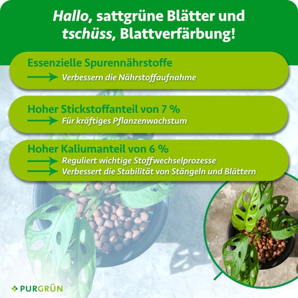 Infografik zum Purgrün Pflanzendünger für Hydrokulturen mit Hinweisen zu Spurennährstoffen, Stickstoff und Kalium für gesundes Pflanzenwachstum.