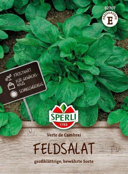 Sperli Feldsalat Verte de Cambrai Saatgut für großblättrigen Feldsalat, frosthart und schnellwachsend, geeignet für das Gewächshaus.