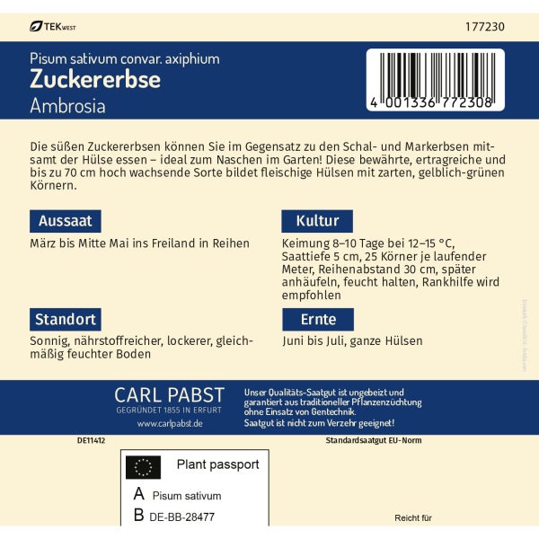 Zuckererbse mittelfrüh & fleischig Ambrosia Samen von Pabst Keimkraft