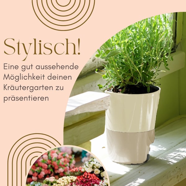 Kräutergarten in einem zweifarbigen Übertopf