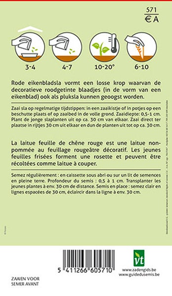 Informationen zu Pflanzanleitung und Eigenschaften von Pflücksalat