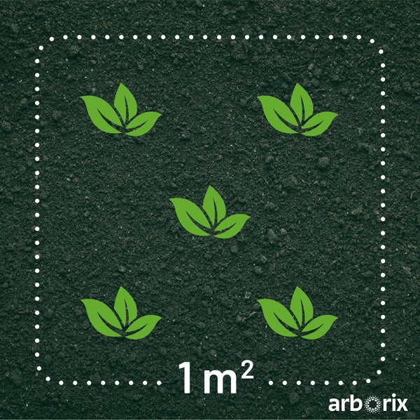 Bepflanzungsempfehlung für einen Quadratmeter Gartenbeet