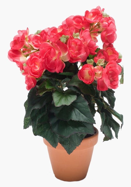 Künstliche Begonie im Tontopf mit rosa Blüten und grünen Blättern.