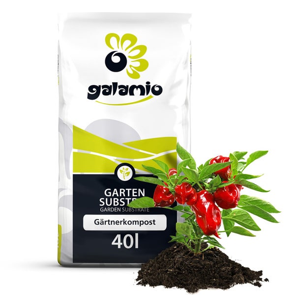 Galamio Gärtnerkompost 40 Liter Sack mit einer Paprikapflanze in dunkler Erde.
