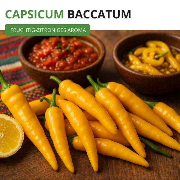 Gelbe Chilischoten der Sorte Capsicum baccatum mit fruchtig-zitronigem Aroma, präsentiert mit einer Zitronenscheibe und Dips.