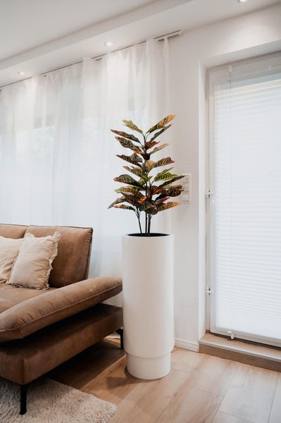 Hoher weißer zylindrischer Pflanzkübel mit Croton-Pflanze in einem hellen Wohnzimmer neben einem braunen Sofa.