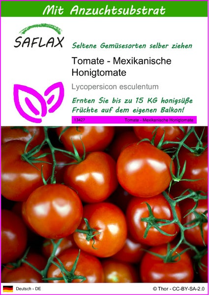 SAFLAX  - Tomate - Mexikanische Honigtomate - Lycopersicon esculentum - 10 Samen - Mit keimfreiem Anzuchtsubstrat