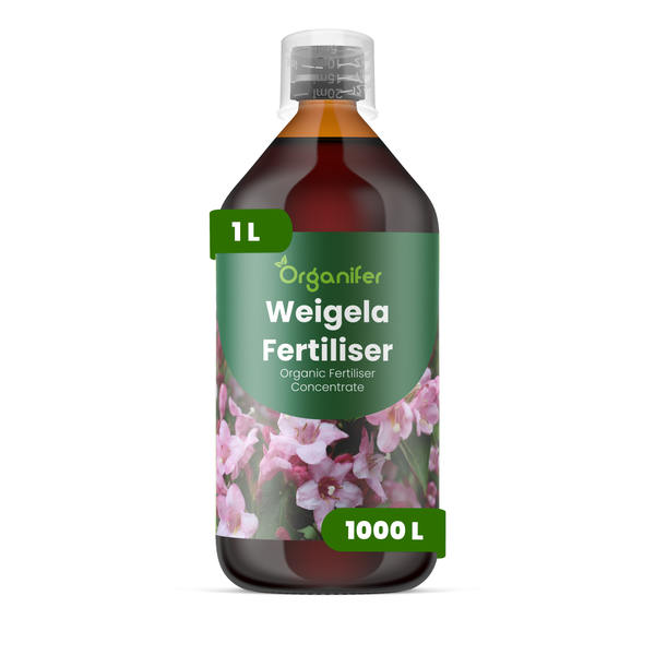 Organifer Weigela Dünger, organisches Düngerkonzentrat, 1 Liter Flasche mit Messkappe.