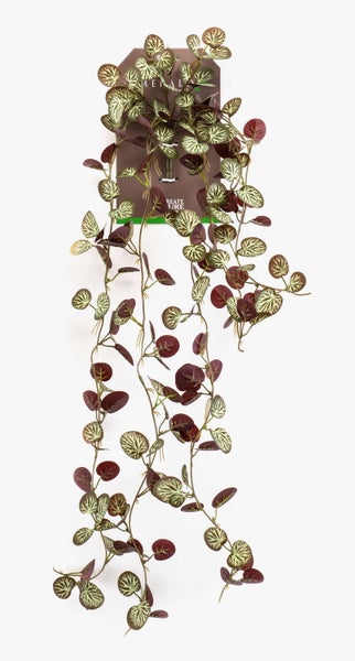 Emerald Kunst-Hängepflanze mit kleinen gemusterten Blättern und langen Ranken auf Papphänger