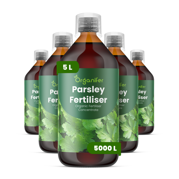 Organifer Bio Petersiliendünger Konzentrat, fünf Flaschen zu je fünf Liter für bis zu fünftausend Liter.