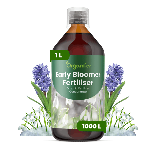 Organifer Early Bloomer Dünger, 1 Liter Flasche, organisches Düngerkonzentrat für Frühblüher.