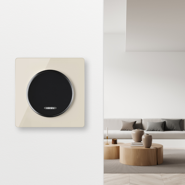 Moderner runder Lichtschalter mit quadratischer Abdeckplatte an einer Wand in einem stilvoll eingerichteten Wohnzimmer.