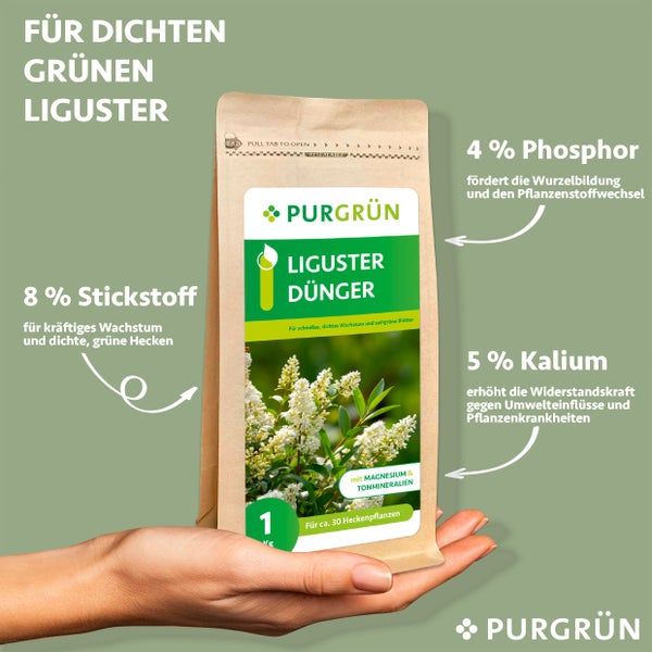 Purgrün Liguster-Dünger 1 kg