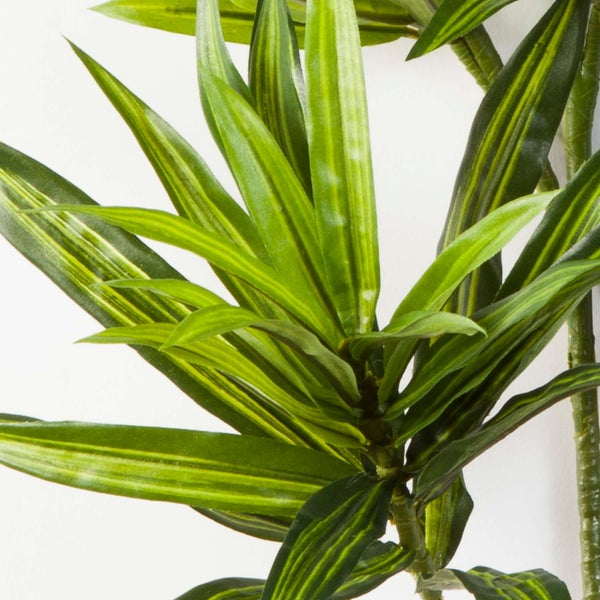Künstliche Pflanze Dracaena mit spitz zulaufenden gestreiften Blättern in der Detailansicht.