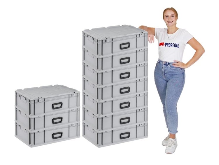 PROREGAL Eurobox NextGen Portable HxBxT 18,5 x 40 x 60 cm 34 Liter Eurobehälter Transportbox Transportbehälter Stapelbehälter