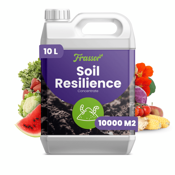 Frassor Bodenverbesserer Soil Resilience Konzentrat 10 Liter Kanister für 10000 Quadratmeter
