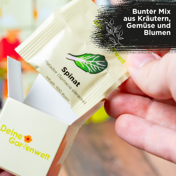 Hand entnimmt einer kleinen Schachtel ein Samentütchen für Spinat Matador der Marke Deine Gartenwelt.