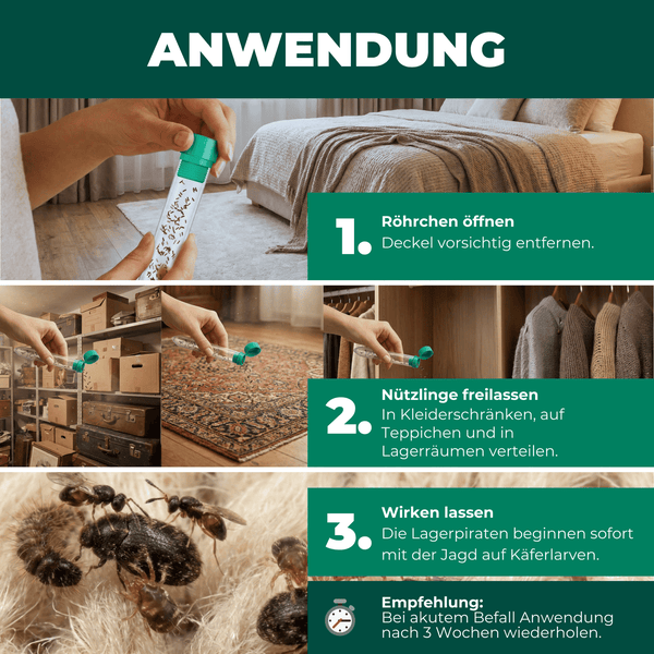 Anwendungsbeispiele für die Schädlingsbekämpfung mit Nützlingen im Haus.