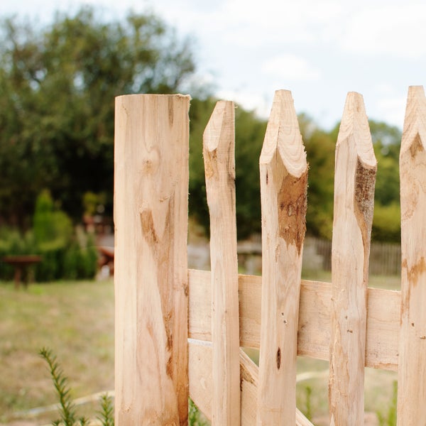 Detailansicht eines unbehandelten Staketenzauns im Garten.