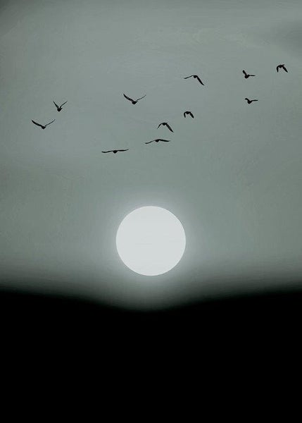 Wandbild mit fliegenden Vögeln über der Sonne vor dunklem Horizont im minimalistischen Stil.