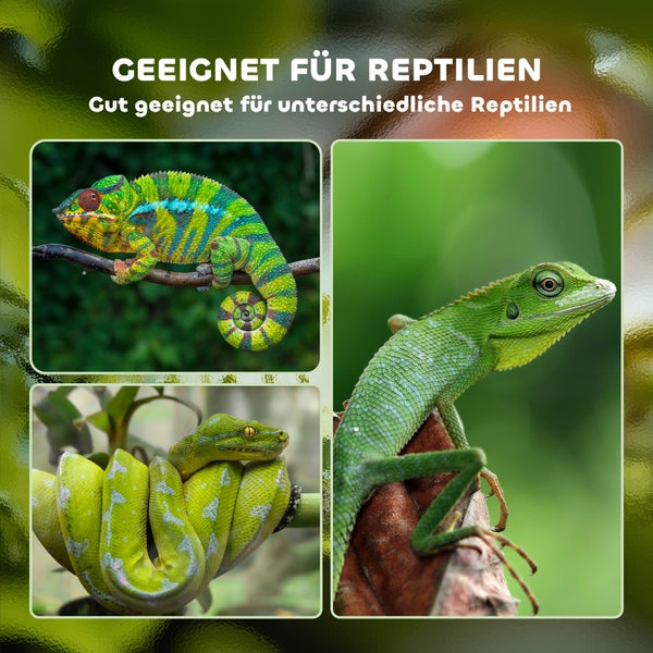 Geeignet für verschiedene Reptilien, wie Chamäleons, Schlangen und Echsen.