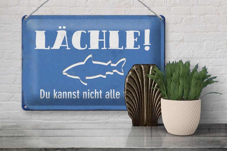 Blechschild Spruch 30x20cm lächle Du kannst nicht alle