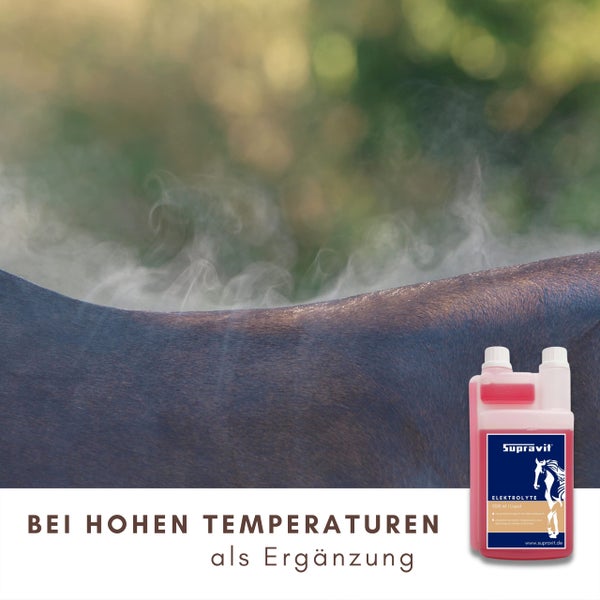 Supravit Elektrolyte für Pferde zur Unterstützung bei hohen Temperaturen