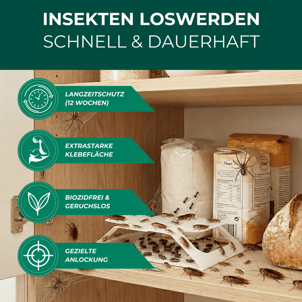 Insektenschutzfalle im Küchenschrank mit Lebensmittelmotten und anderen Insekten
